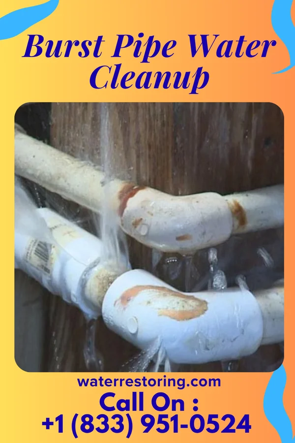 Burst Pipe Water Cleanup in Enterprise, AL