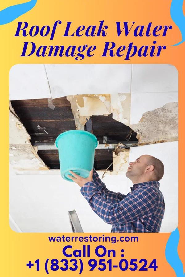 Roof Leak Water Damage Repair in Enterprise, AL